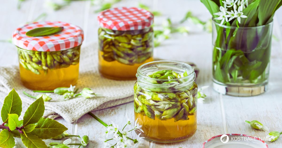 Bärlauchkapern einfach selber machen: Entdecke unser Rezept, um Bärlauchknospen einzulegen – die regionale Alternative zu echten Kapern!
