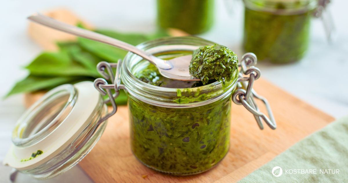 Frisch geerntet hält sich Bärlauch nur wenige Tage. Du kannst ihn einfrieren, am besten grob gehackt und portionsweise. Auch als Peto mit Öl bedeckt hält er sich im Kühlschrank mehrere Wochen. Trocknen ist möglich, allerdings geht dabei viel Aroma verloren. Eine gute Alternative ist das Einlegen in Öl oder das Vermischen mit Salz.