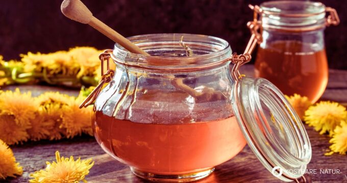 Löwenzahnhonig ohne Zucker selber machen. Einfaches Rezept mit Agavendicksaft oder Fruchtsirup. Mit Tipps und Infos zur Haltbarkeit.