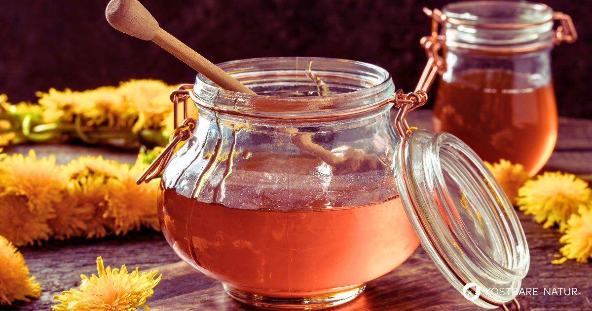 Löwenzahnhonig ohne Zucker selber machen. Einfaches Rezept mit Agavendicksaft oder Fruchtsirup. Mit Tipps und Infos zur Haltbarkeit.