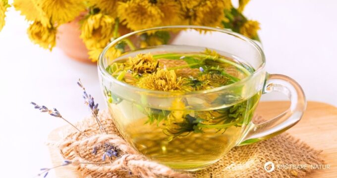 Drei Löwenzahntee-Rezepturen - für einen gesunden Start in den Frühling und Tipps wie du Blätter und Wurzeln das ganze Jahr über nutzt