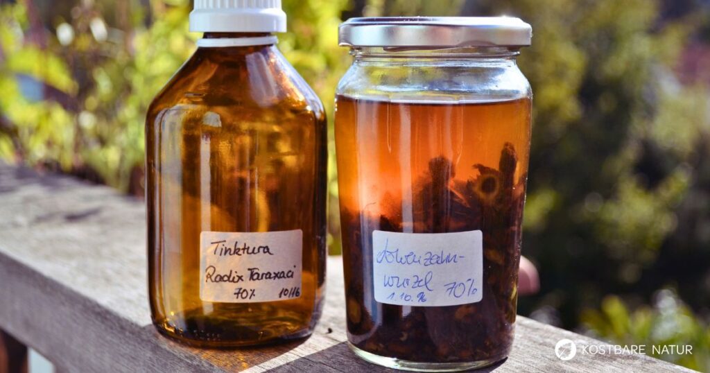 Löwenzahnwurzeln sind reich an gesunden Wirkstoffen, die du in einer hausgemachten Löwenzahnwurzel-Tinktur bewahren und lange nutzen kannst!