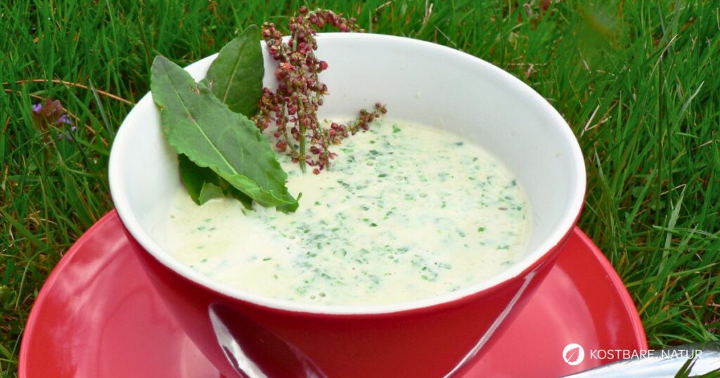 Diese cremige Sauerampfersuppe verbindet die frische Säure junger Wildkräuter mit milder Sahne und knusprigen Knoblauchcroutons.