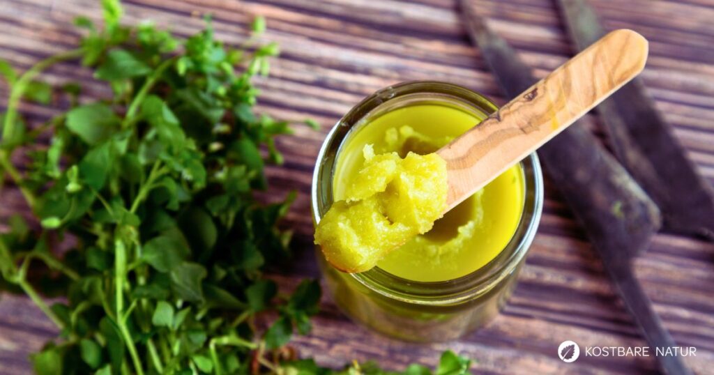 Die Vogelmiere-Salbe leistet Erste Hilfe bei kleinen Wunden. In diesem Beitrag erfährst du, wie du sie selber herstellen kannst.