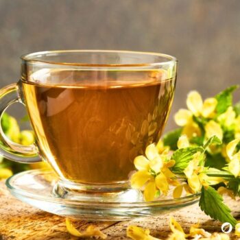 Goldnessel ist ein attraktiver, ungiftiger Wildkräuter‑Bodendecker mit milden Anwendungen in Küche, Hautpflege und Garten.