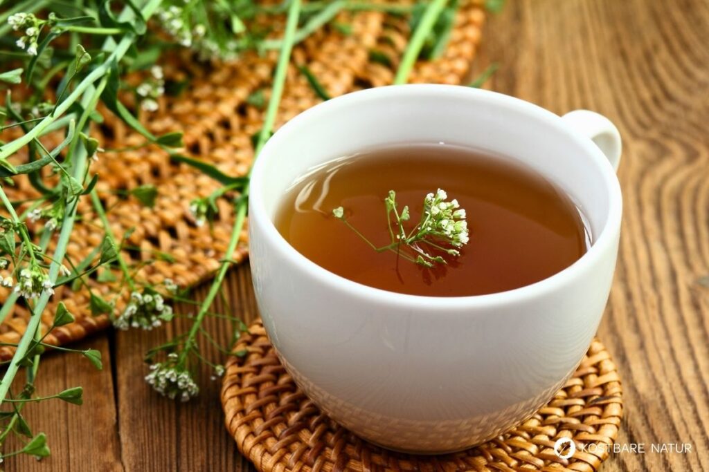 Hirtentäschel – wildes Heilkraut gegen Blutungen, reich an Vitaminen, ideal für Küche & Hausapotheke. Jetzt mehr erfahren!