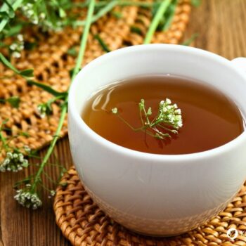 Hirtentäschel – wildes Heilkraut gegen Blutungen, reich an Vitaminen, ideal für Küche & Hausapotheke. Jetzt mehr erfahren!