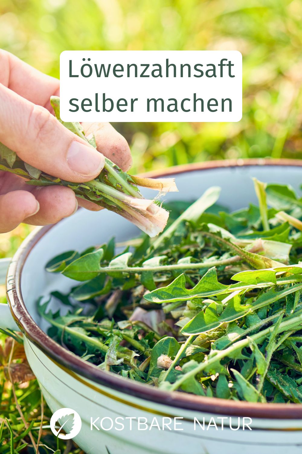 Löwenzahn hilft beim Entgiften, gegen Frühjahrsmüdigkeit und vieles mehr. So stellst du einen Löwenzahnsaft her.