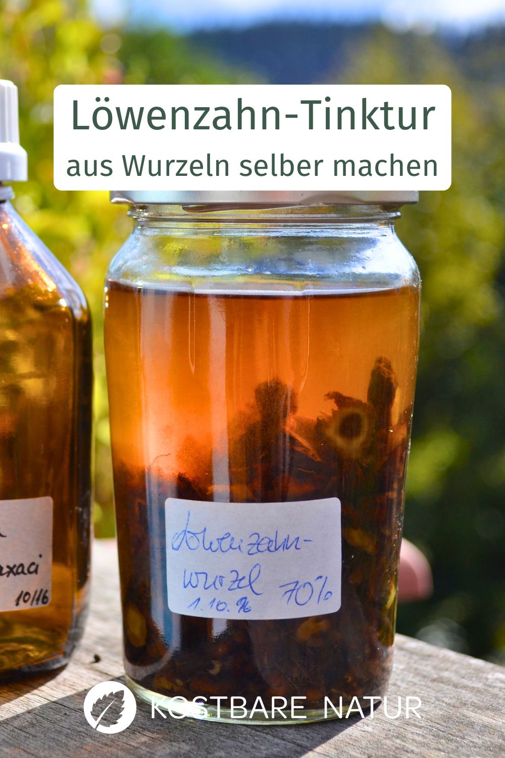 Löwenzahnwurzeln sind reich an gesunden Wirkstoffen, die du in einer hausgemachten Löwenzahnwurzel-Tinktur bewahren und lange nutzen kannst!