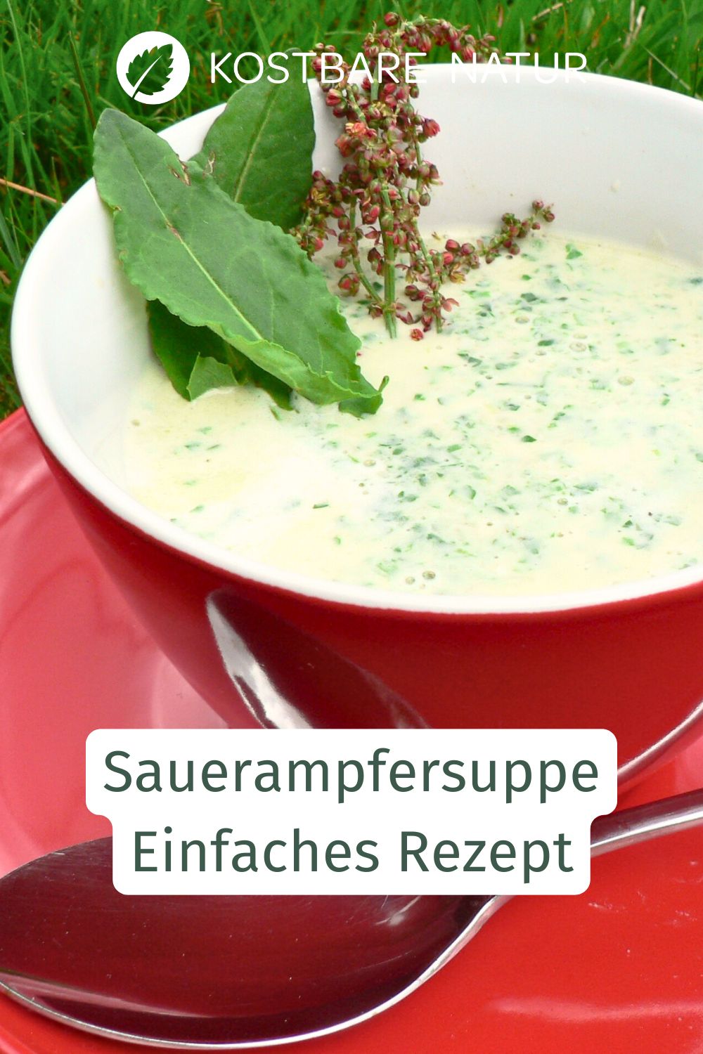 Diese cremige Sauerampfersuppe verbindet die frische Säure junger Wildkräuter mit milder Sahne und knusprigen Knoblauchcroutons.