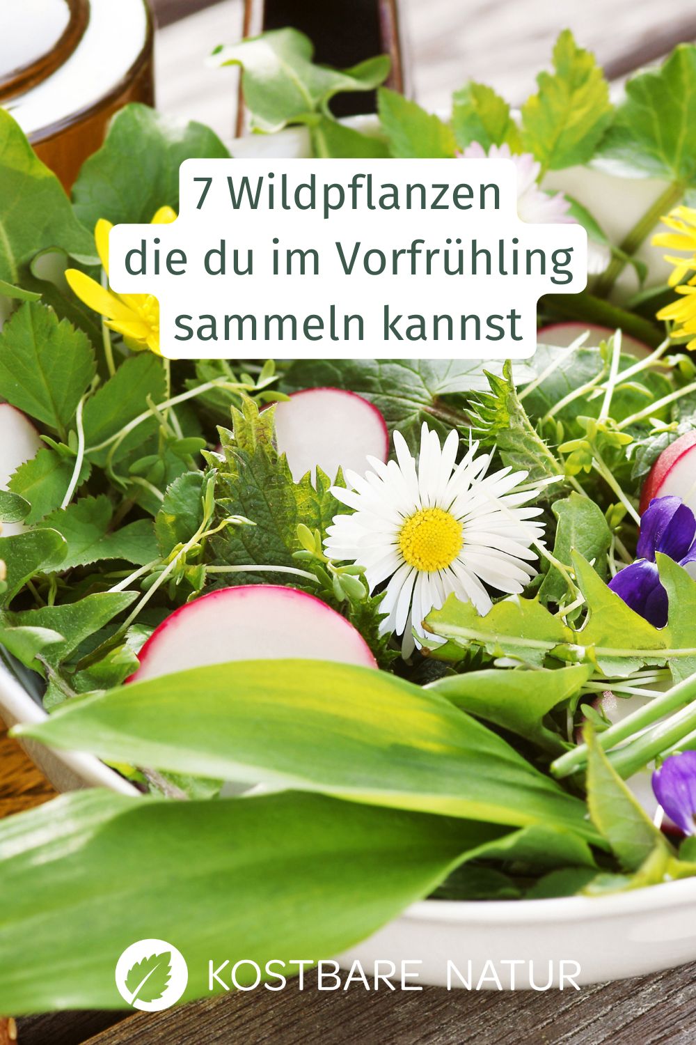 Die Natur erwacht und die ersten wilden Pflanzen können im Vorfrühling im Februar und März gesammelt werden. Diese Pflanzen solltest du nicht verpassen!