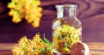 Goldruten Sirup selber machen. Einfaches Rezept mit Wirkung der Goldrute. Aromatisch, haltbar und vielseitig verwendbar.