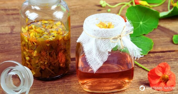 Kapuzinerkresse-Tinktur ist ein einfach herzustellender Pflanzenextrakt mit antibakteriellen und immunstärkenden Eigenschaften für vielseitige Anwendungen.