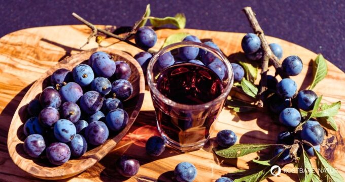 Schlehenlikör ist ein regionaler DIY-Genuss, der mit Frost-Trick mild wird und in Maßen die Verdauung unterstützen kann.