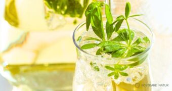 Die Waldmeisterbowle mit Wildkräutern ist erfrischend, aromatisch und regional – perfekt für Sommerfeste, Picknicks oder gemütliche Nachmittage.