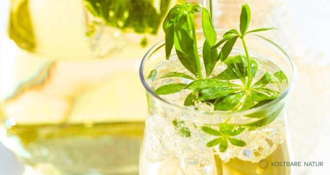 Die Waldmeisterbowle mit Wildkräutern ist erfrischend, aromatisch und regional – perfekt für Sommerfeste, Picknicks oder gemütliche Nachmittage.