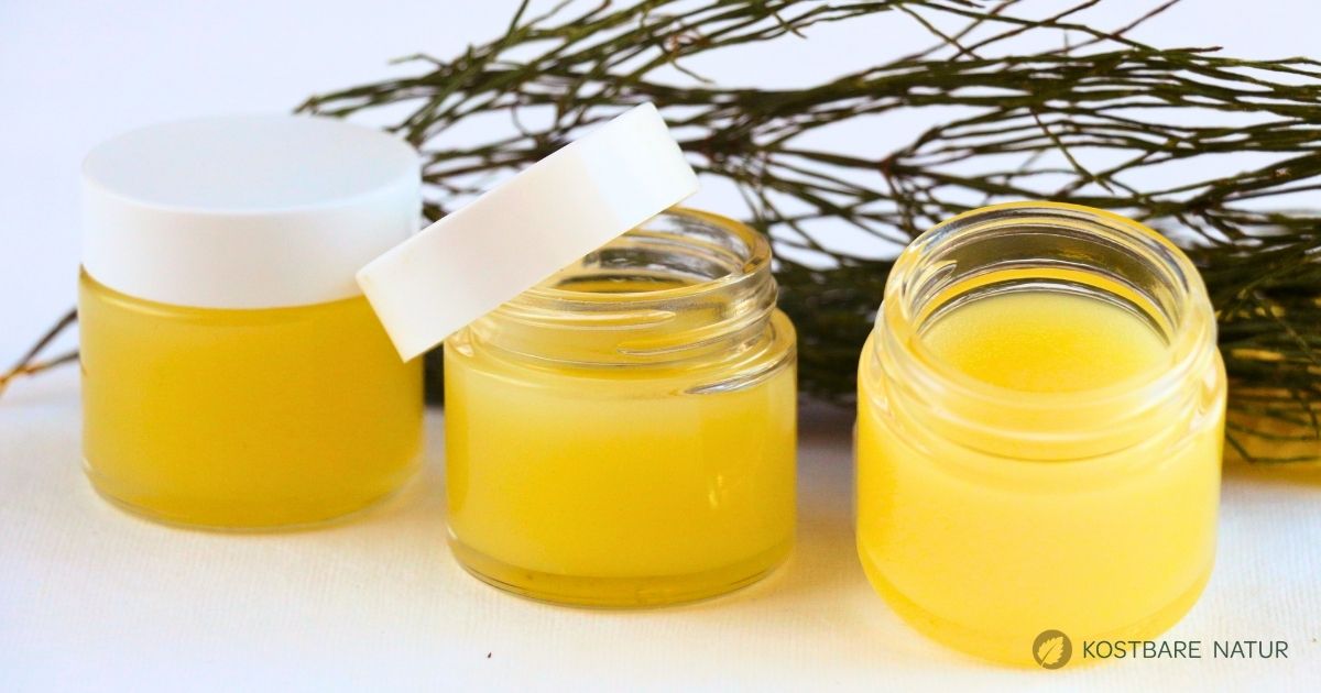 Rezept mit Ackerschachtelhalm, einfach zu machen und unterstützend bei Hautproblemen. Heilpflanze des Jahres 1997.