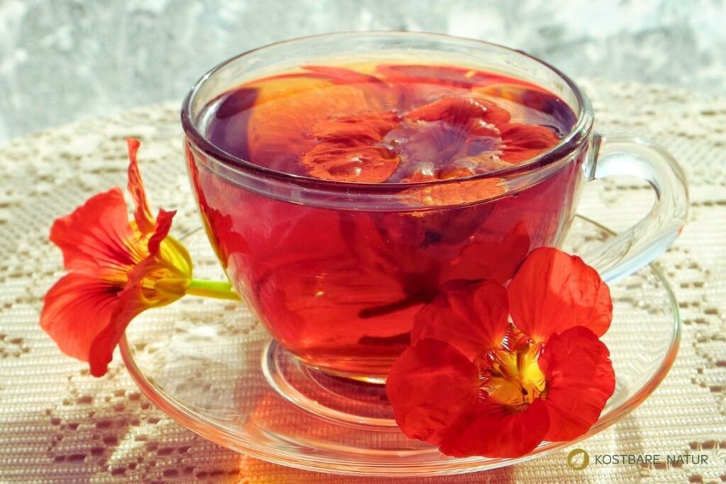 Kapuzinerkresse-Tee in Teeglas mit Blüten