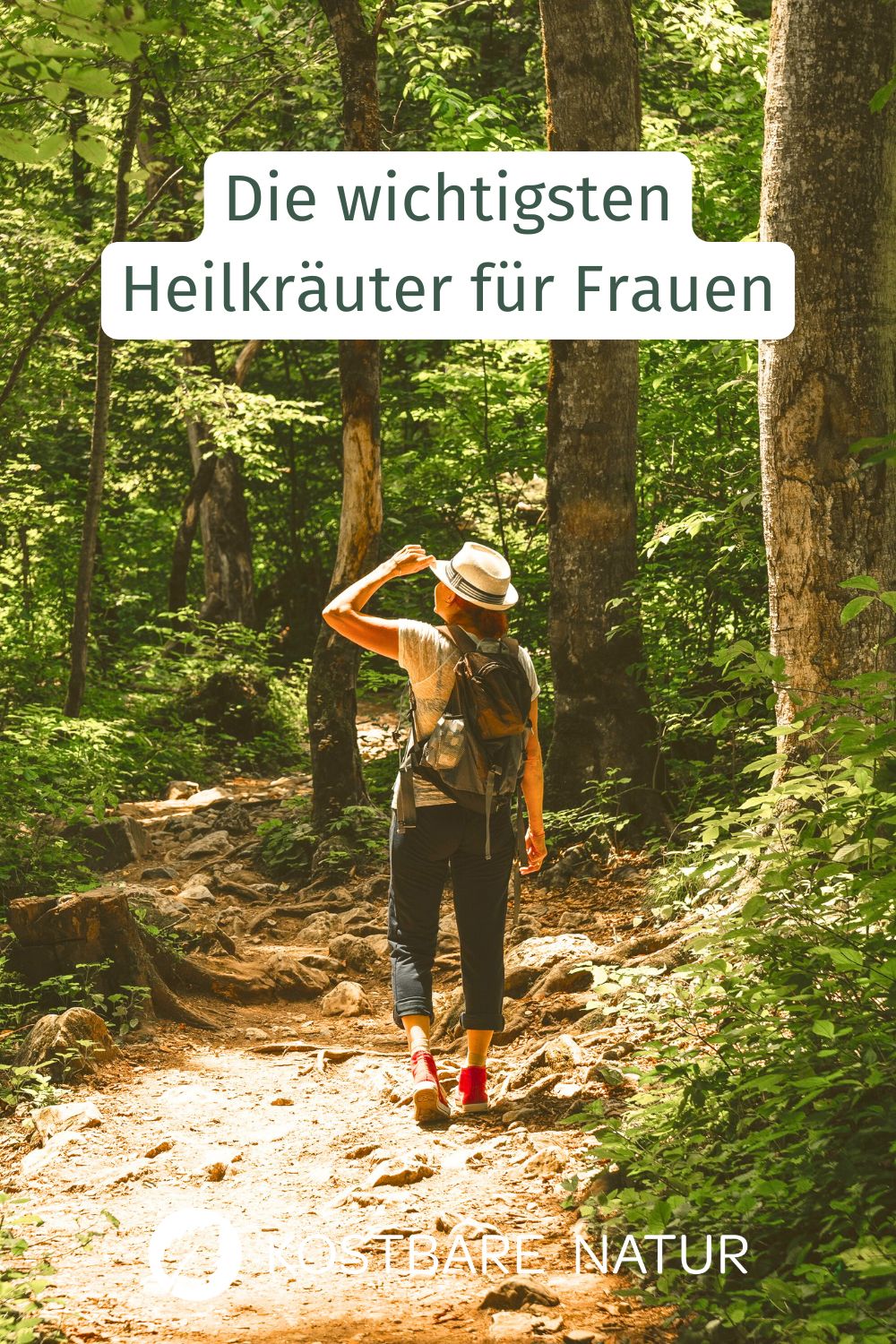 Frauenmantel, Beifuß, Himbeerblätter und Schafgarbe sind hervorragende Heilkräuter für Frauen. Wirkung, Tee Zubereitung.