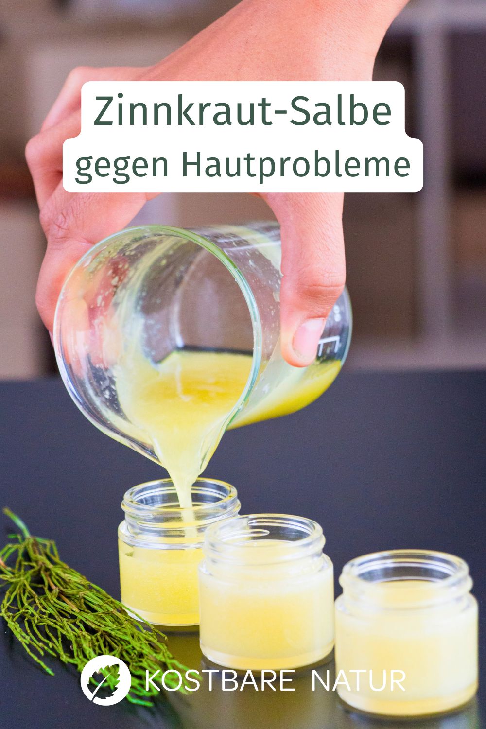 Rezept mit Ackerschachtelhalm, einfach zu machen und unterstützend bei Hautproblemen. Heilpflanze des Jahres 1997.