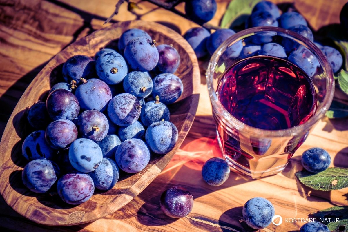 Schlehenlik&ouml;r selber machen