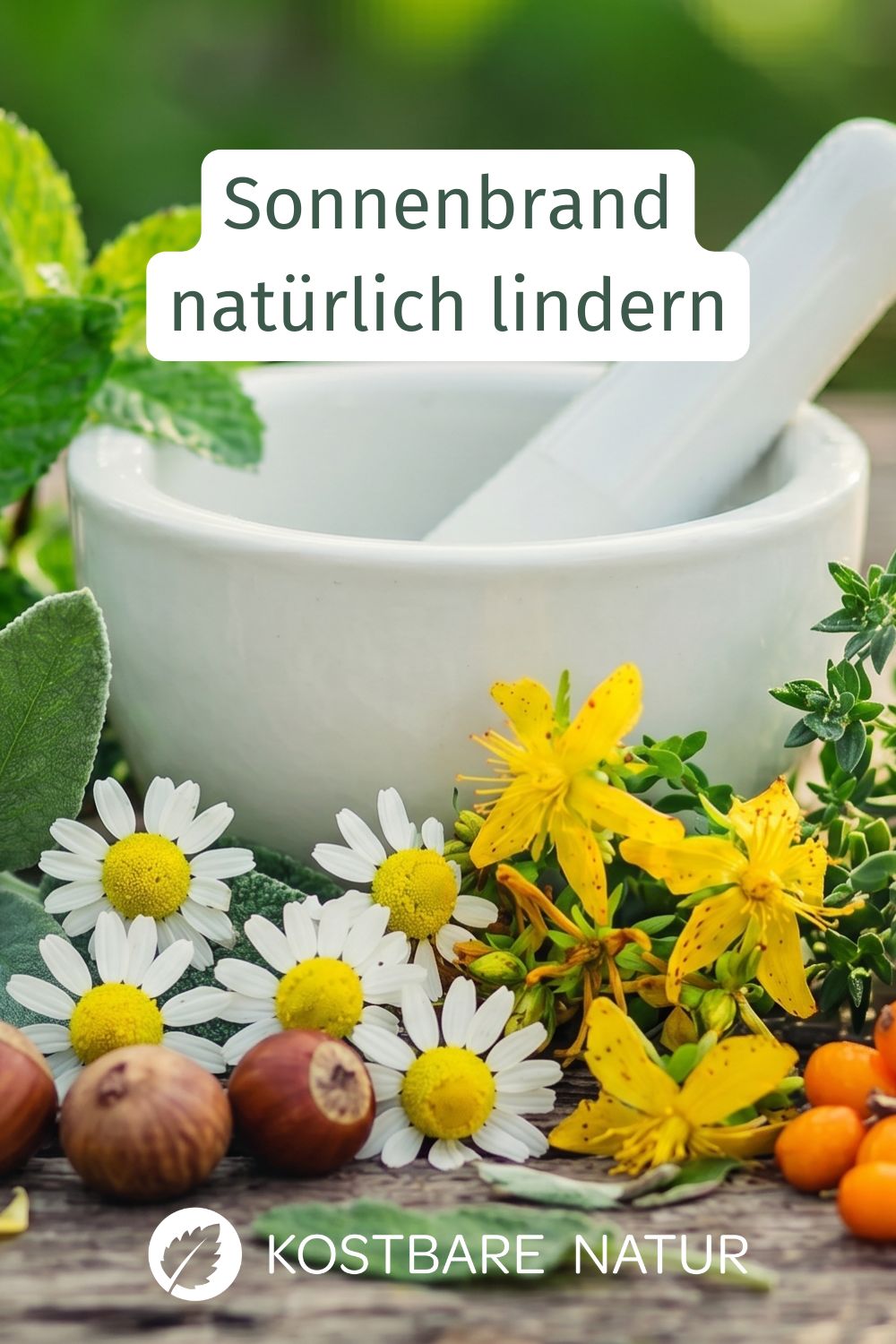 Haut gerötet? Diese heimischen Wildkräuter helfen bei Sonnenbrand. Erfahre, wie heimische Kräuter die Heilung fördern und Schmerzen lindern.