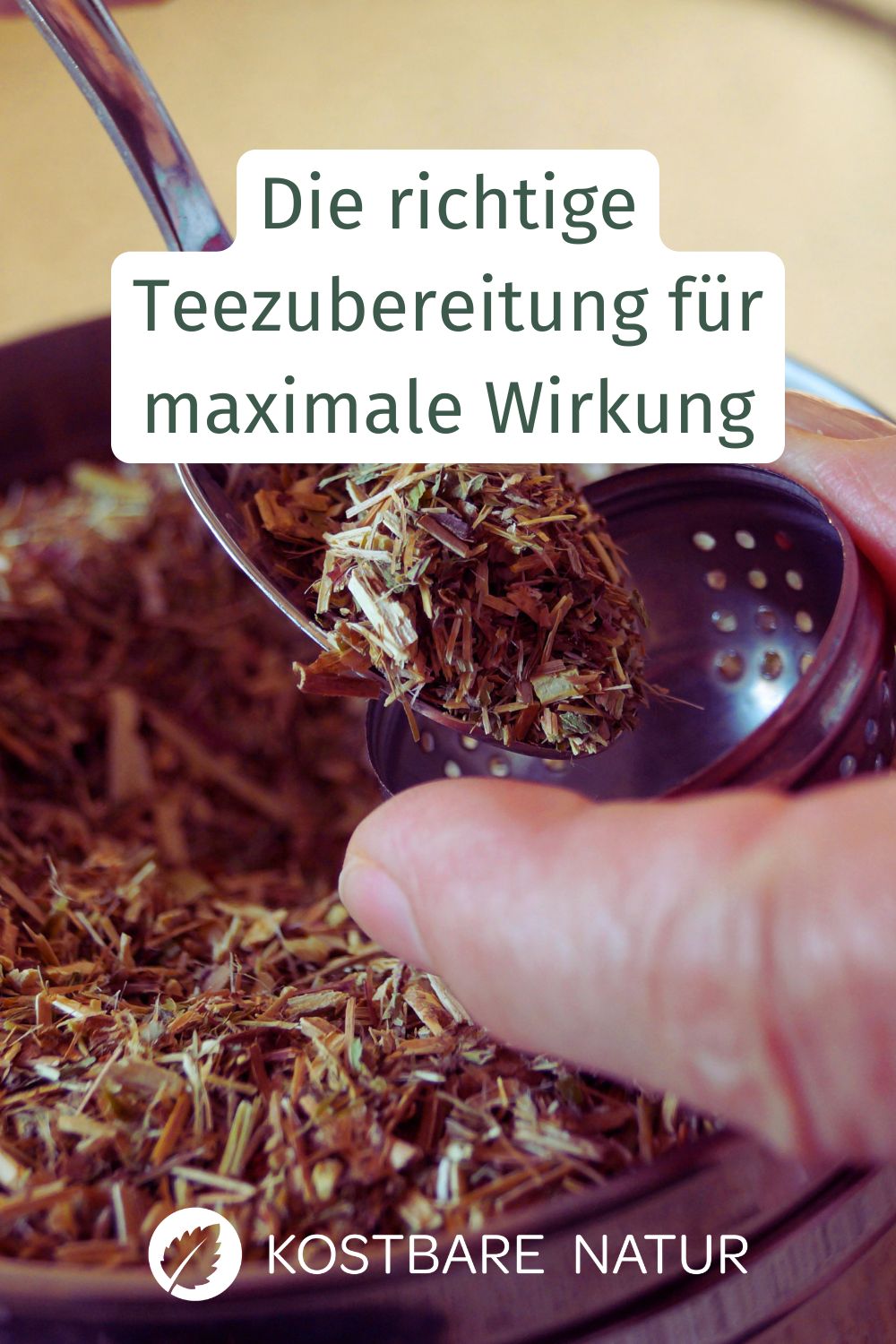 Erfahre alles über die richtige Teezubereitung von Wildkräutern. Wie du Wirkstoffe optimal löst und für deine Gesundheit nutzt.