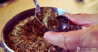 Erfahre alles über die richtige Teezubereitung von Wildkräutern. Wie du Wirkstoffe optimal löst und für deine Gesundheit nutzt.