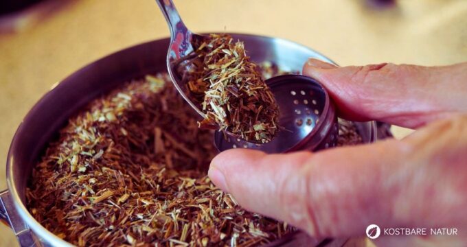 Erfahre alles über die richtige Teezubereitung von Wildkräutern. Wie du Wirkstoffe optimal löst und für deine Gesundheit nutzt.