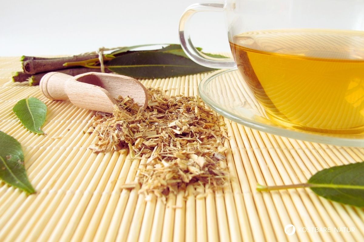 Erfahre alles über die richtige Teezubereitung von Wildkräutern. Wie du Wirkstoffe optimal löst und für deine Gesundheit nutzt.