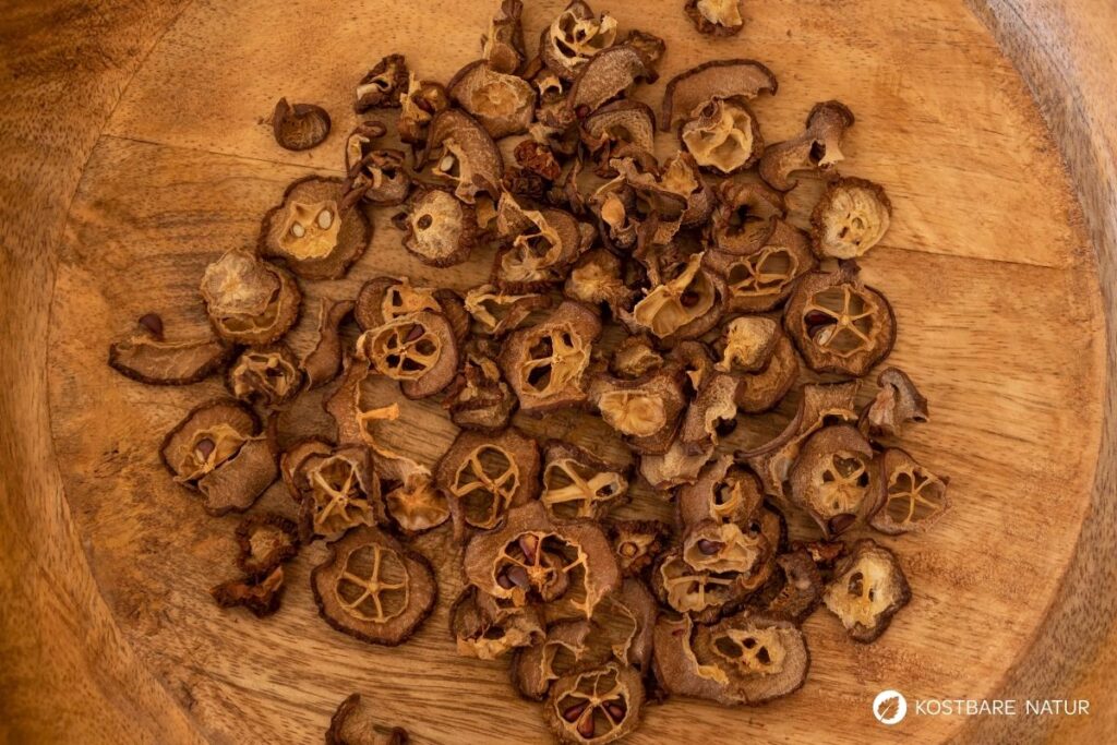 Entdecke die Echte Mispel: Ein vergessenes Superfood aus dem Mittelalter. Erfahre alles über Wirkung, Ernte und köstliche Rezepte!