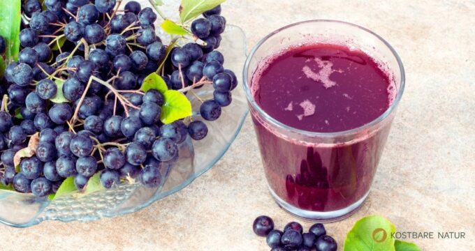 Aroniasaft ist ein vielseitiger, selbst gemachter Saft aus regionalen Beeren, den du pur trinken oder kreativ in der Küche verwenden kannst.