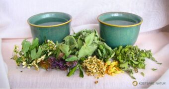 Ein Haustee ist die perfekte Mischung aus Genuss und sanfter Gesundheit. Erfahre, welche Wildkräuter sich eignen.