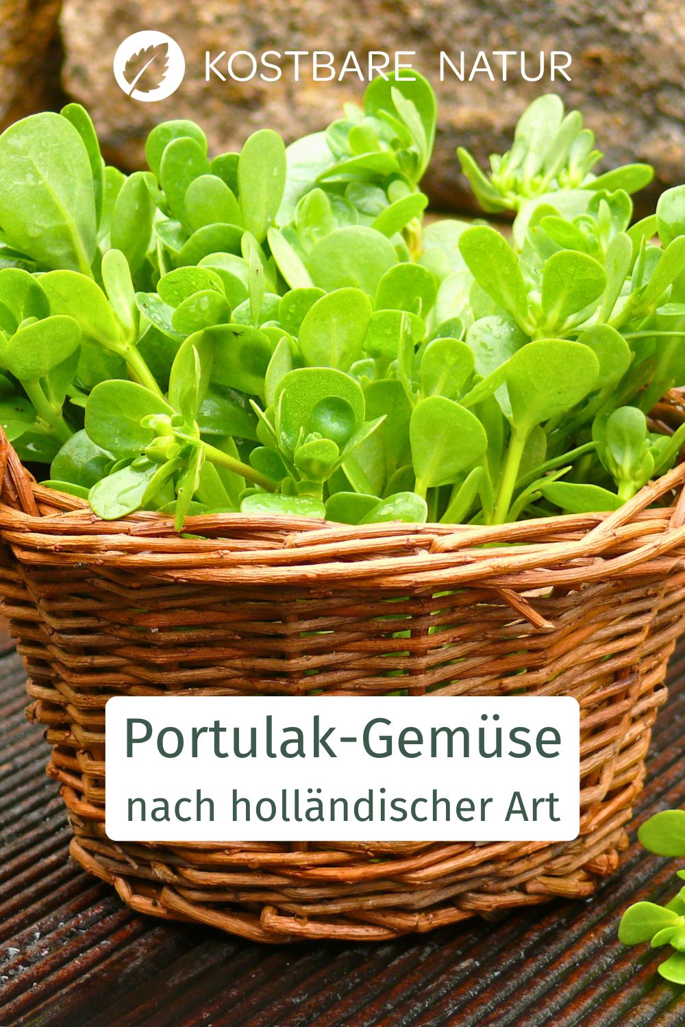 Portulak-Gemüse ist eine einfache Frühlingsbeilage aus regionalem Grün, die mild würzig schmeckt und eine traditionelle Alternative zu Spinat bietet.