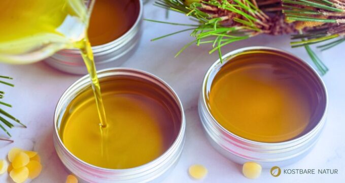 Erkältungssalbe selber machen: Lindere Husten und Schnupfen natürlich mit der Kraft der Nadelbäume. Einfaches Rezept mit Nadelbaumtinktur.