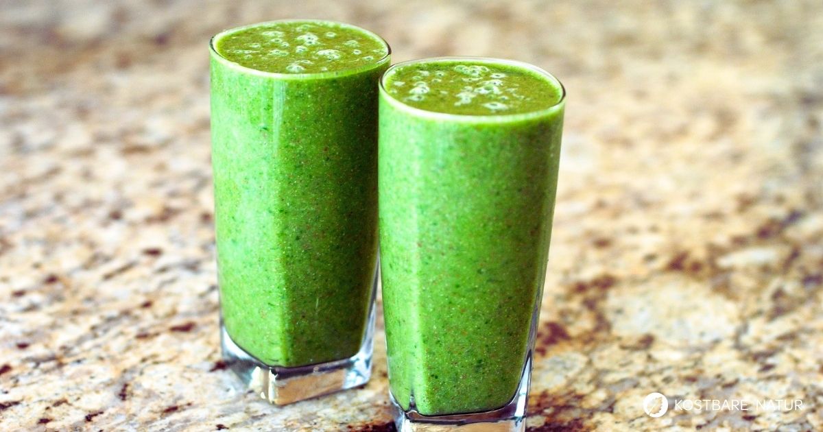 Müde am Morgen? Dieser grüne Smoothie mit Giersch und Ingwer liefert wertvolle Vitalstoffe und sanfte Energie.