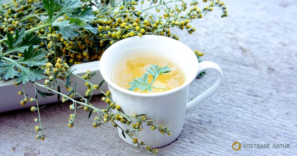 Wermuttee ist ein bitterer Kräutertee, der die Verdauung unterstützen kann und sich mit wenigen Zutaten einfach selbst zubereiten lässt.