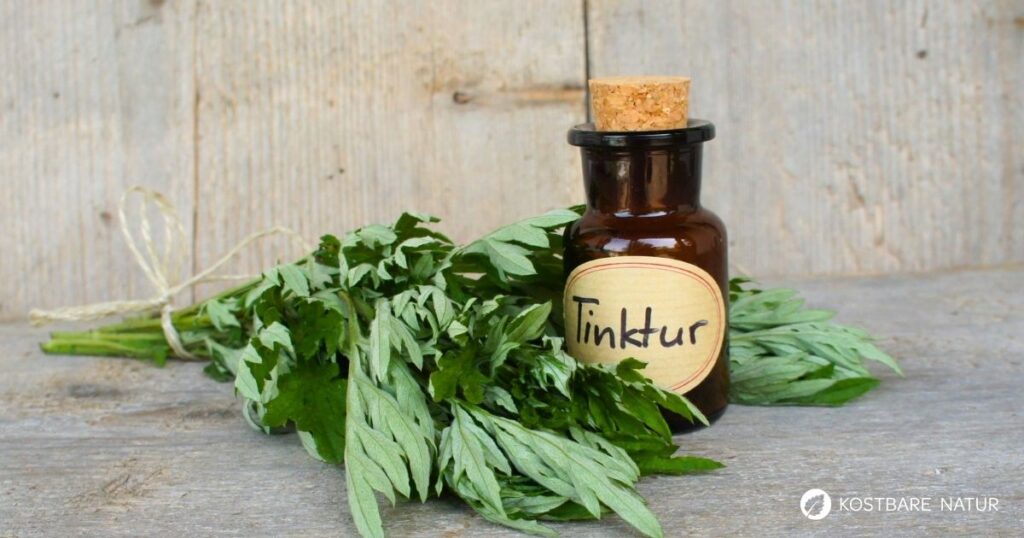 Wermut-Tinktur lässt sich einfach selbst herstellen und kann mit ihren Bitterstoffen Verdauung und Appetit natürlich unterstützen.