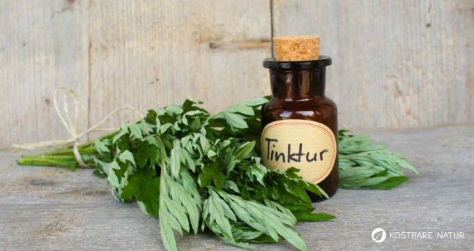 Wermut-Tinktur lässt sich einfach selbst herstellen und kann mit ihren Bitterstoffen Verdauung und Appetit natürlich unterstützen.