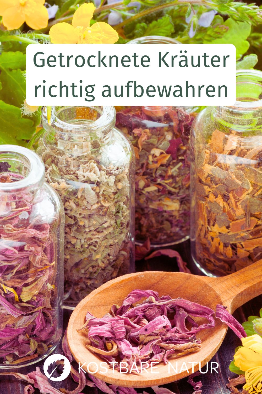 So bleiben deine Heilkräuter lange wirksam! Erfahre alles über die richtige Lagerung, den Schutz ätherischer Öle und Fakten zur Haltbarkeit.