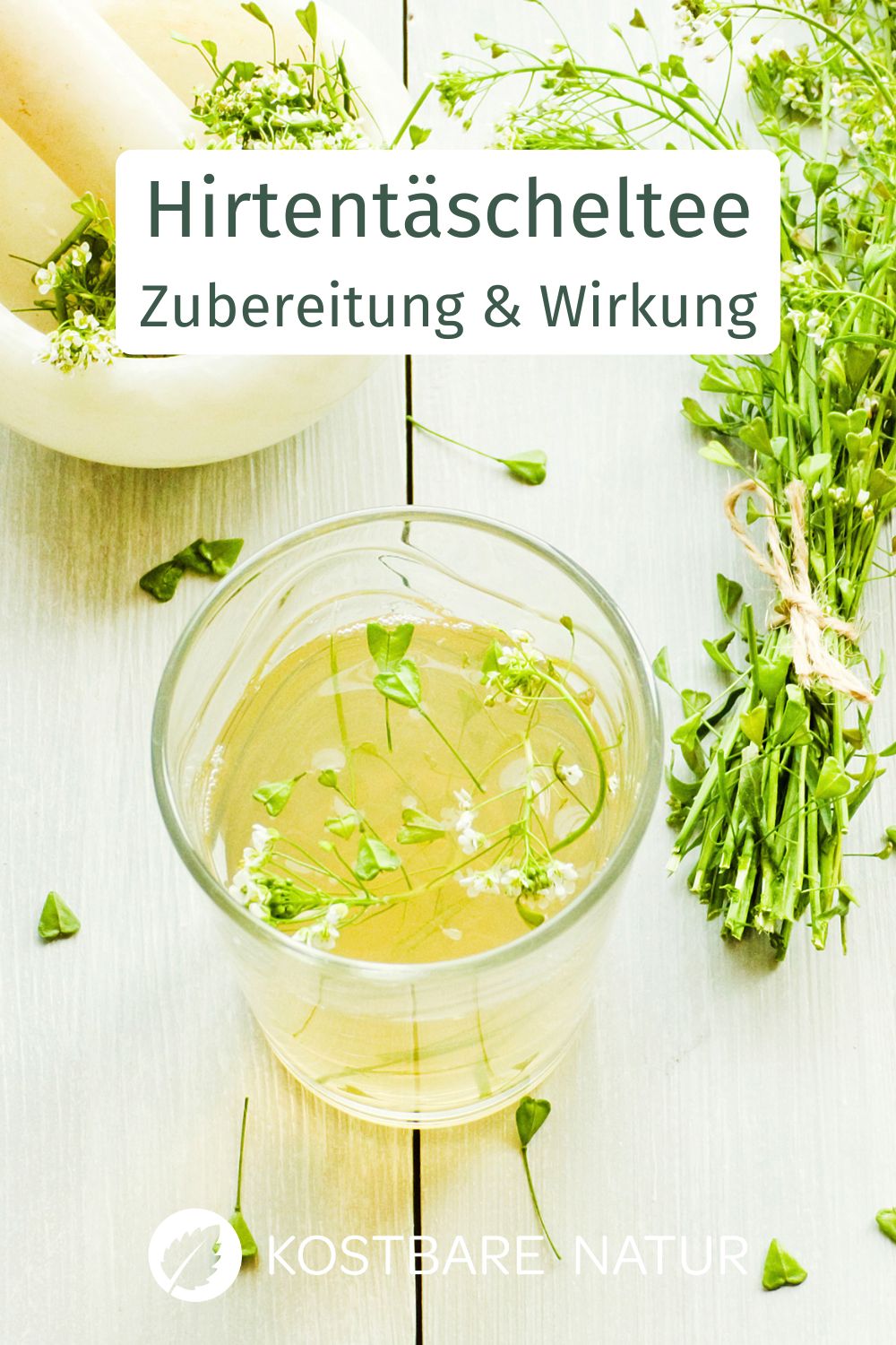 Hirtentäscheltee nutzt regionale Wildpflanzen und kann den Körper bei Blutungen und Unterleibsbeschwerden sanft unterstützen.