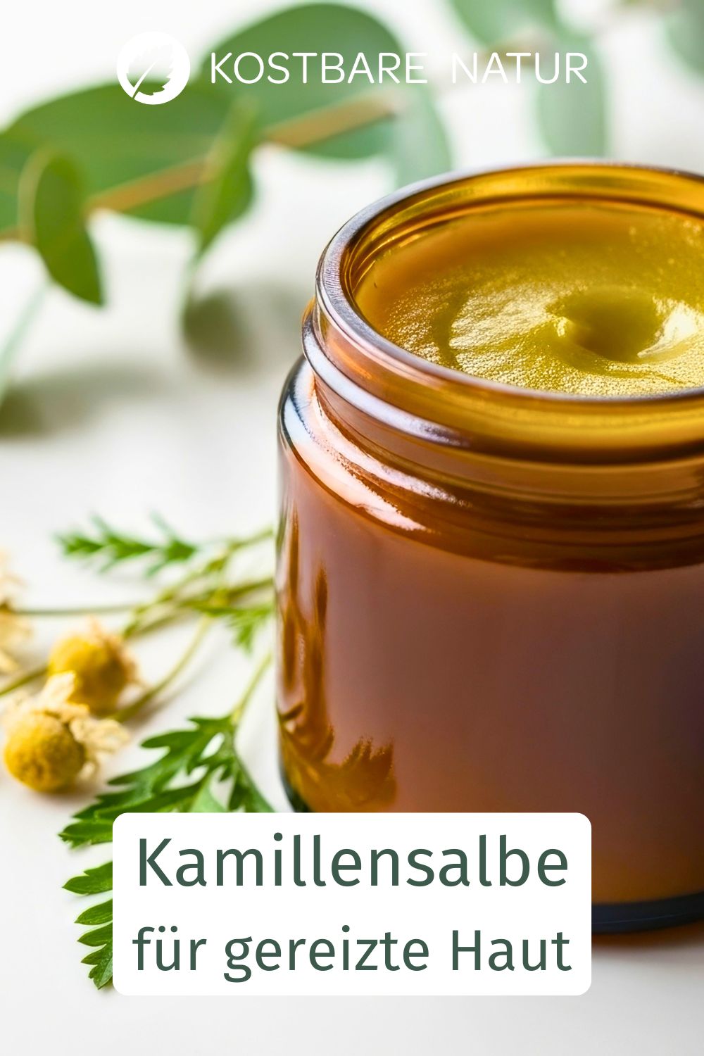 Kamillensalbe lässt sich mit frischen Blüten einfach selber machen und pflegt trockene oder gereizte Haut auf natürliche Weise.