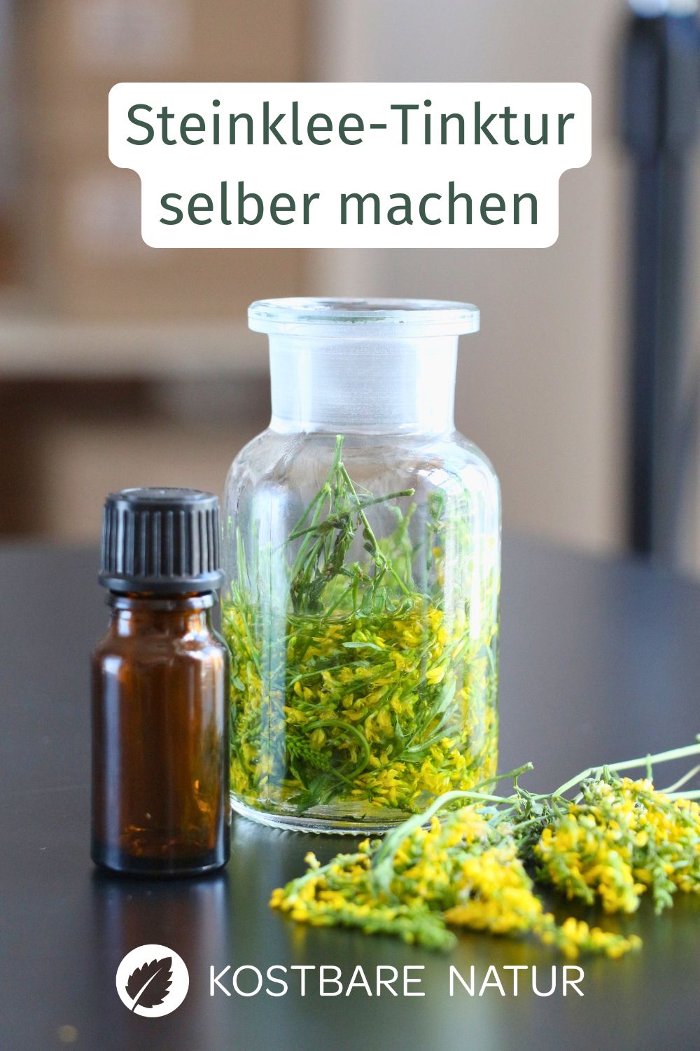 Schwere Beine und Lymphstau? Da hilft der Steinklee. Entdecke, wie du aus Echtem Steinklee eine heilkräftige Tinktur herstellst.