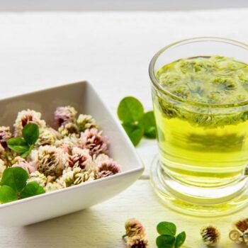 Entdecke den Weißklee! Erfahre alles über die Heilwirkung, leckere Rezepte für die Küche und wie du ihn ganz einfach selbst anbaust.