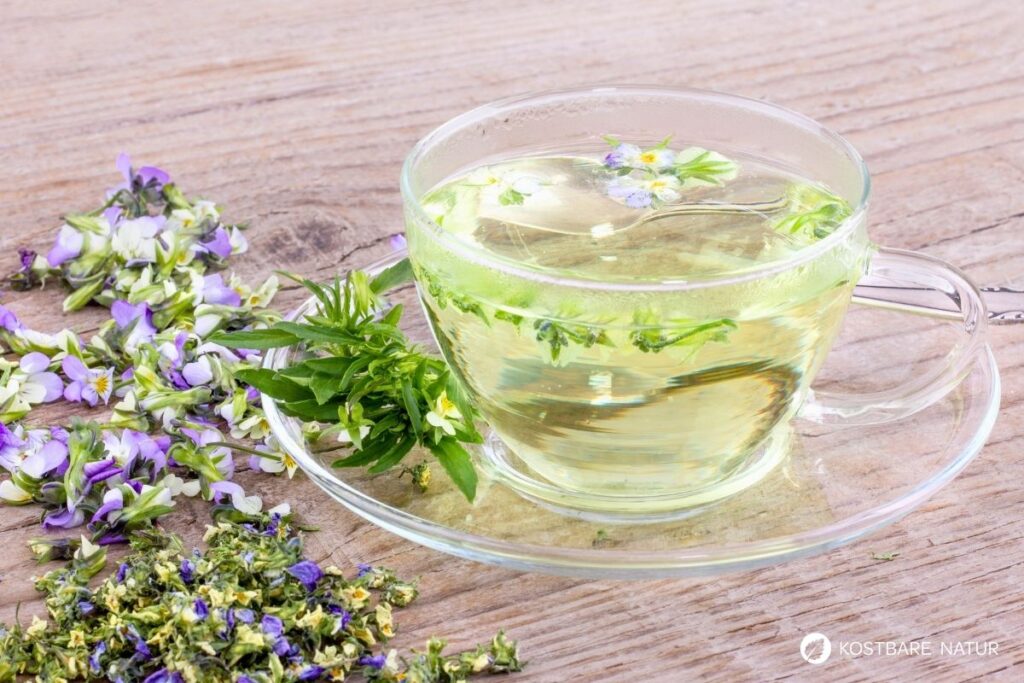 Entdecke das Wilde Stiefmütterchen: Heilwirkung für die Haut, essbare Blüten-Rezepte & einfache Tipps zum Bestimmen und Anbauen.