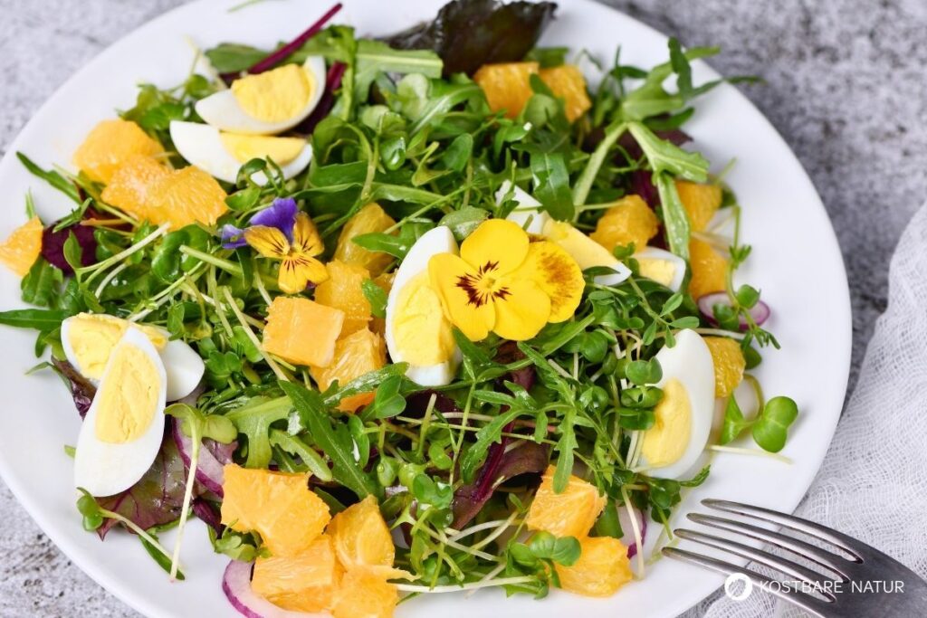Entdecke das Wilde Stiefmütterchen: Heilwirkung für die Haut, essbare Blüten-Rezepte & einfache Tipps zum Bestimmen und Anbauen.