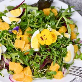 Entdecke das Wilde Stiefmütterchen: Heilwirkung für die Haut, essbare Blüten-Rezepte & einfache Tipps zum Bestimmen und Anbauen.