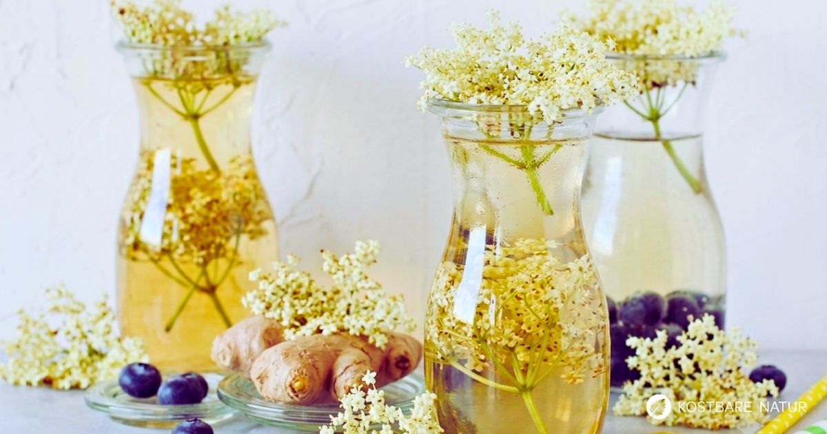 Blütenwasser selber machen: Erfahre im Rezept, wie du erfrischendes Infused Water mit Wildblüten ganz einfach und zuckerfrei ansetzt.