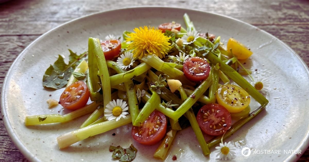 Löwenzahnspaghetti mal anders: Entdecke dieses geniale, kornfreie Rezept aus knackigen Löwenzahnstängeln mit wertvollen Bitterstoffen.