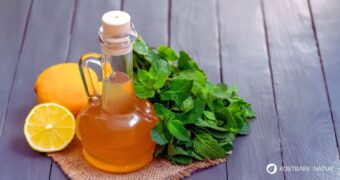 Pfefferminzsirup macht frische Minze aus dem Garten haltbar und bringt ihr Aroma in Wasser, Desserts und sommerliche Getränke.